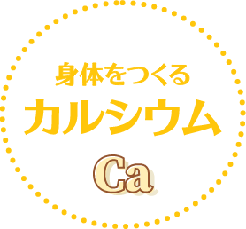 身体をつくるカルシウム